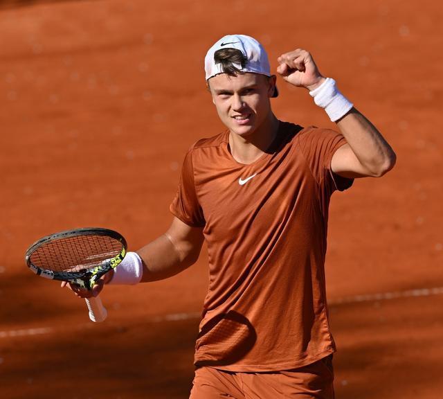 国王主帅的 国王主帅的