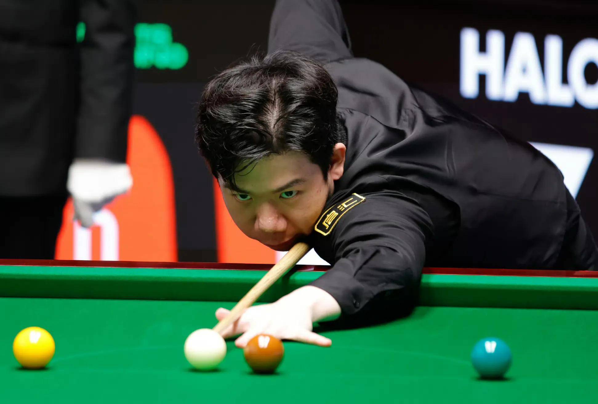 他们需要在 他们需要在