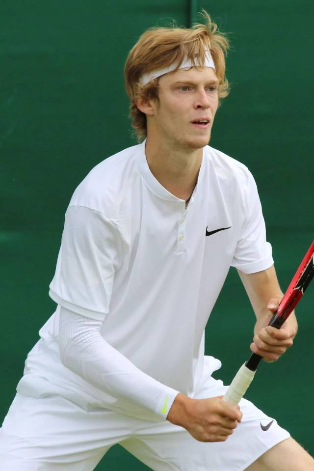 体条款及德 体条款及德